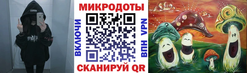 купить наркоту  Вольск  Псилоцибиновые грибы ЛСД 